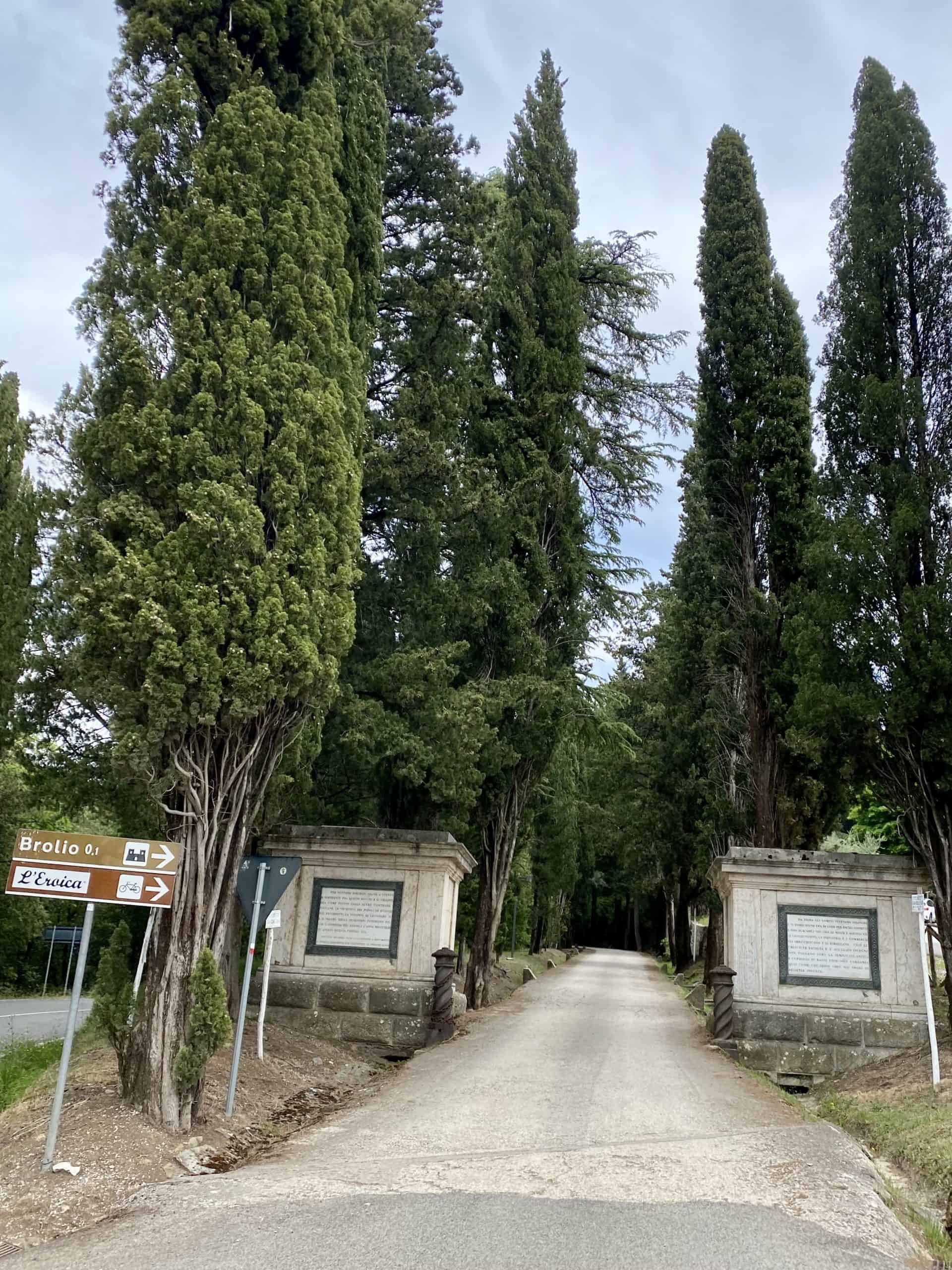 Entrance road to Castello di Brolio (Brolio Castle).  Two huge stone pillars are on either side of the road.  There are brown road signs on the left for Brolio and L'Eroica.  The road goes uphill and there are coniferous trees on either side.